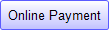 Online Payment